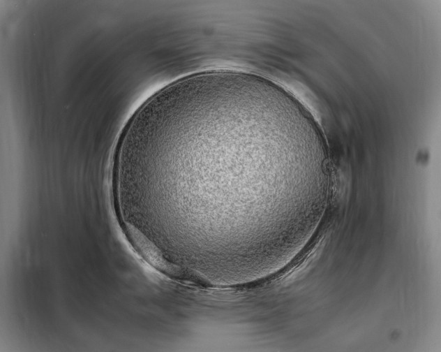 X0000098221007200805011230