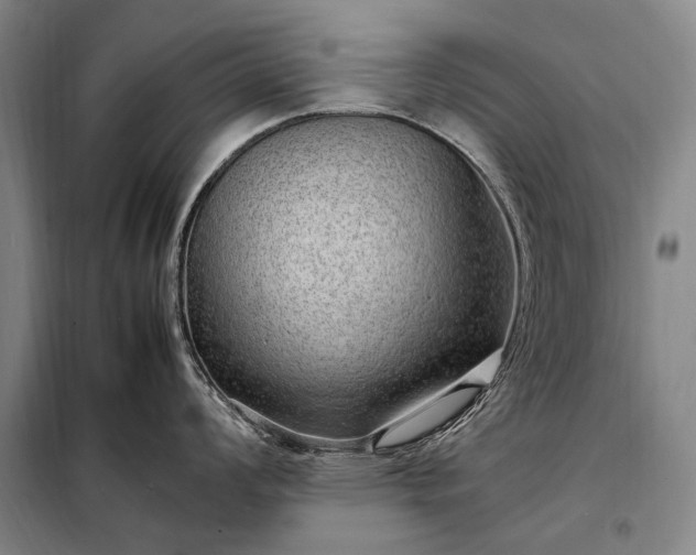 X0000098221008200805011230