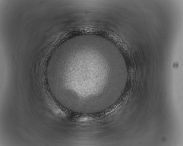 X0000098221009200805011229