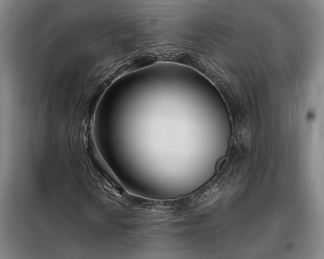 X0000098221010200805011229