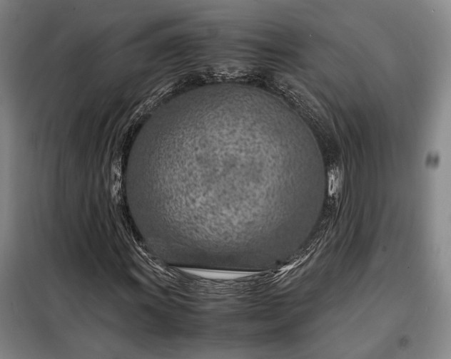 X0000098221011200805011229