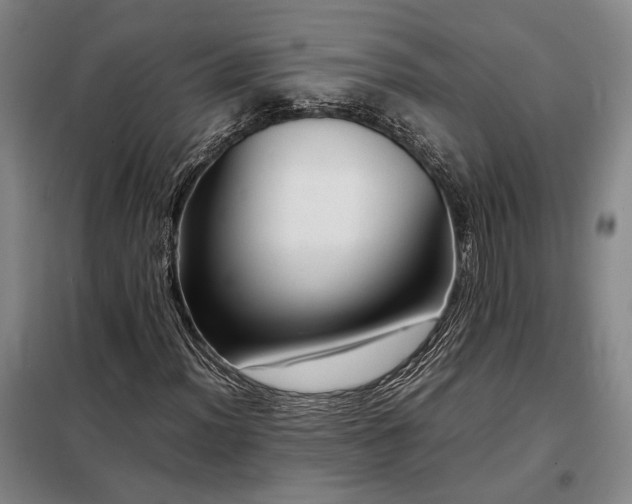 X0000098221012200805011229