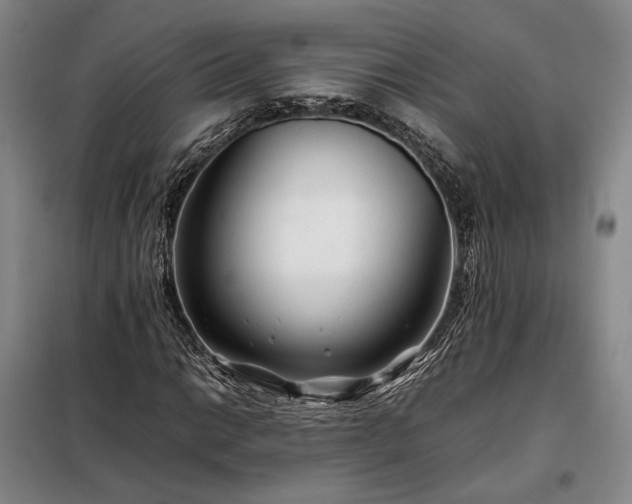 X0000098221014200805011229