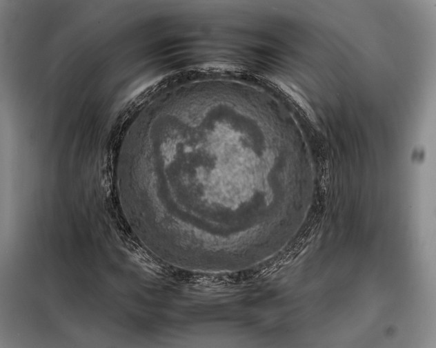 X0000098221015200805011229