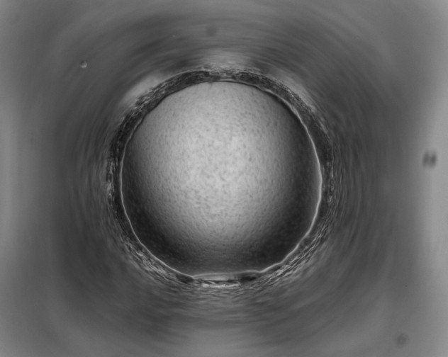 X0000098221016200805011229