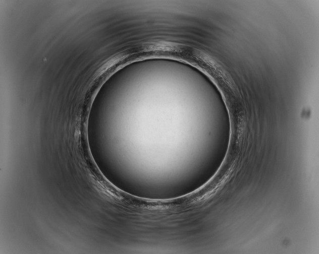 X0000098221017200805011229