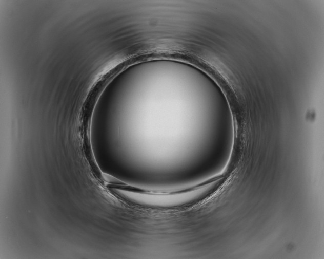 X0000098221018200805011229