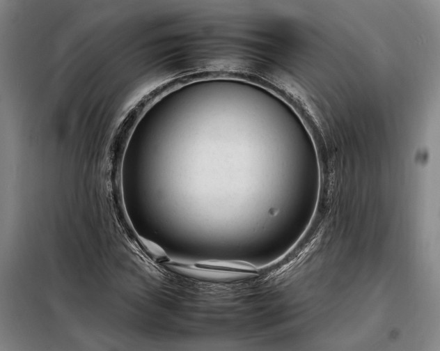 X0000098221019200805011229