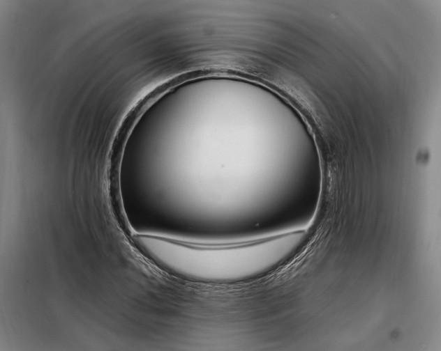 X0000098221020200805011229