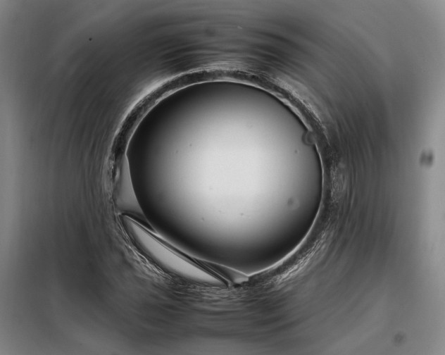 X0000098221021200805011229