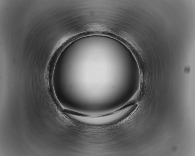 X0000098221022200805011229