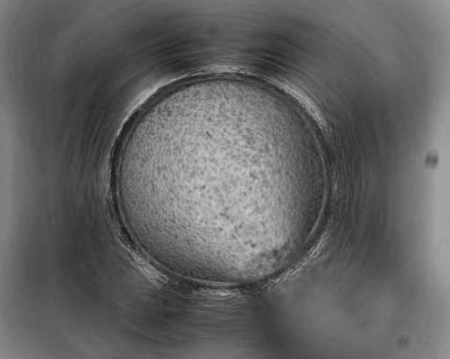 X0000098221023200805011229