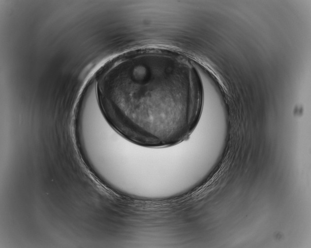 X0000098221024200805011229