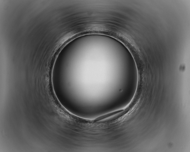 X0000098221025200805011229