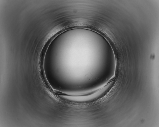 X0000098221026200805011229