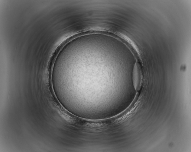 X0000098221027200805011229