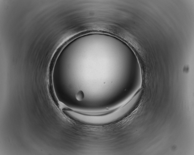 X0000098221028200805011229