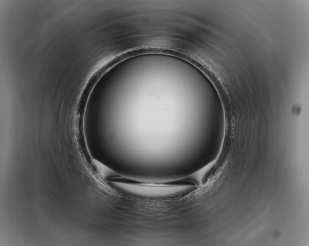 X0000098221029200805011229