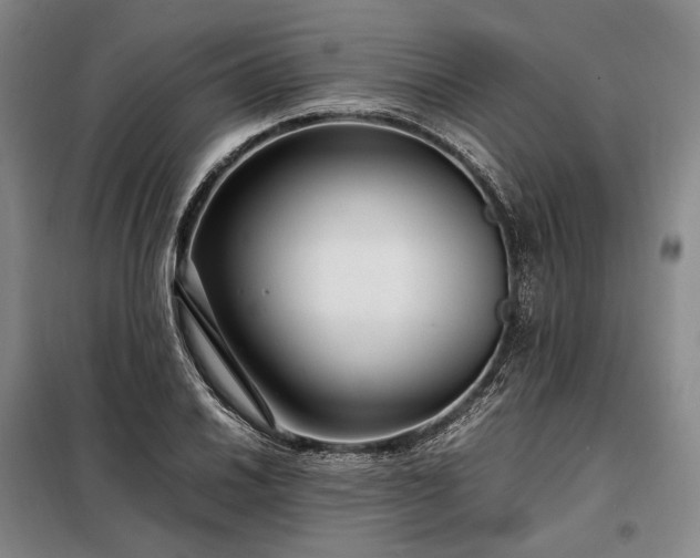 X0000098221030200805011229