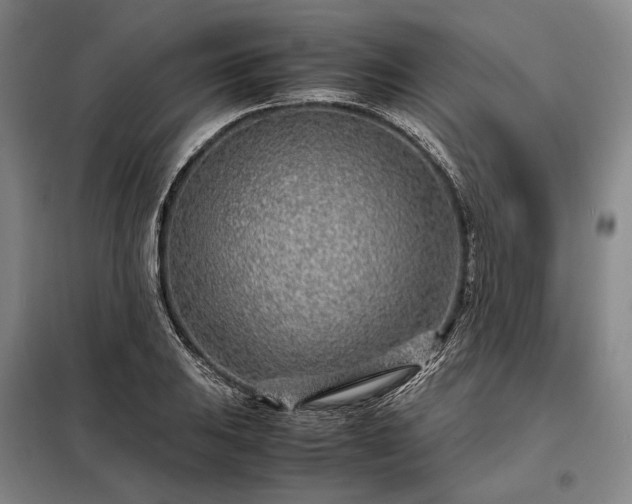 X0000098221031200805011229