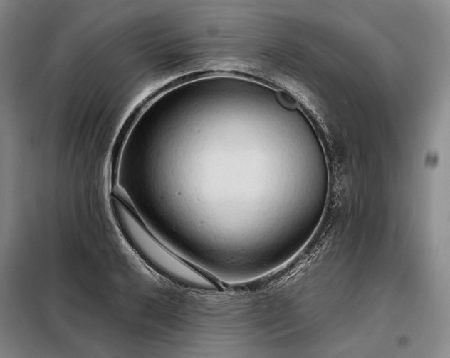 X0000098221032200805011229