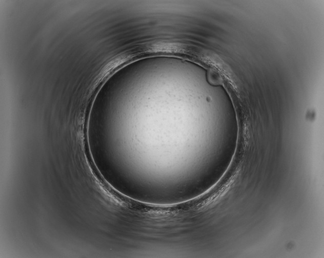 X0000098221033200805011229