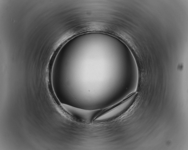 X0000098221034200805011229