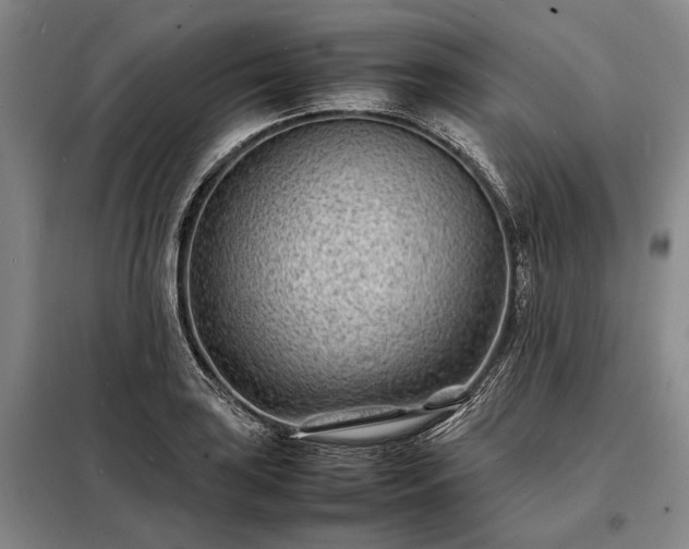 X0000098221035200805011229