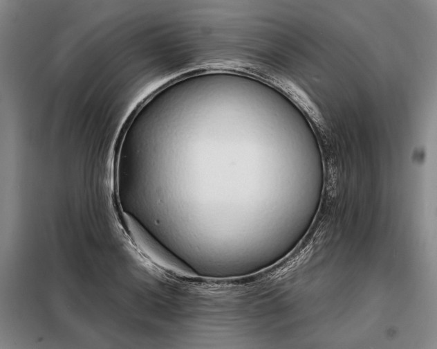 X0000098221036200805011229