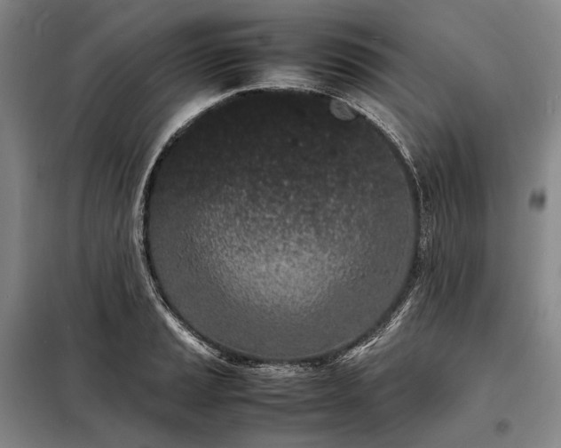 X0000098221037200805011229