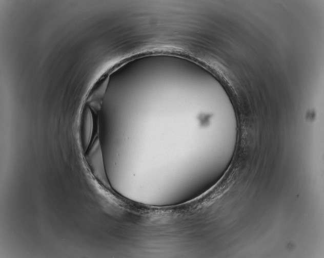 X0000098221038200805011229