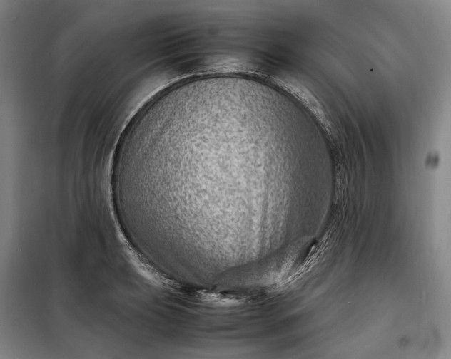 X0000098221039200805011229