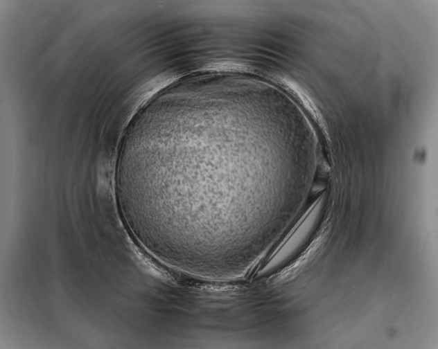 X0000098221041200805011229