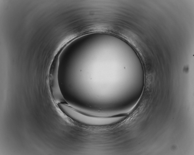 X0000098221042200805011229