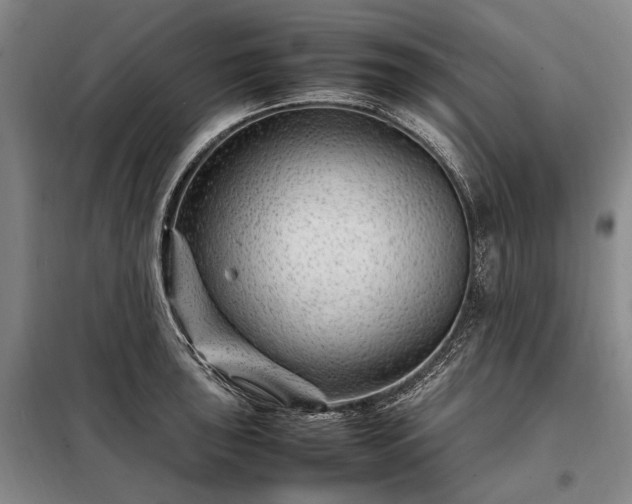 X0000098221043200805011229