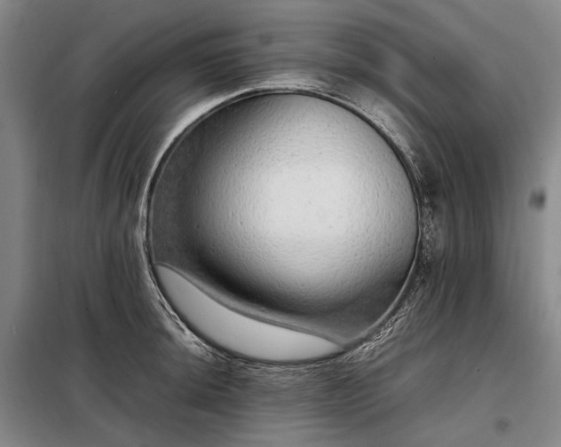 X0000098221044200805011229