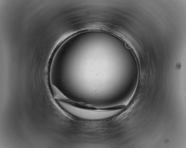 X0000098221045200805011229