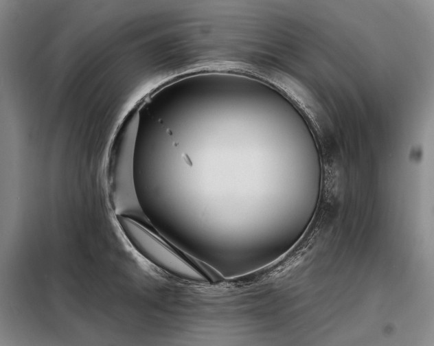 X0000098221046200805011229