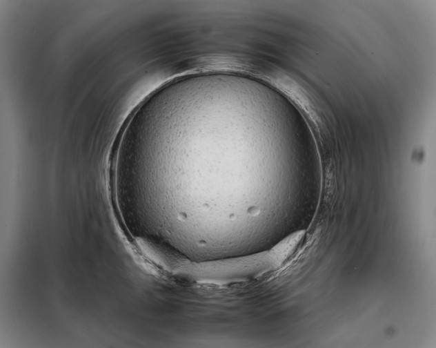 X0000098221047200805011229