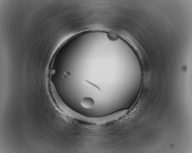 X0000098221048200805011229