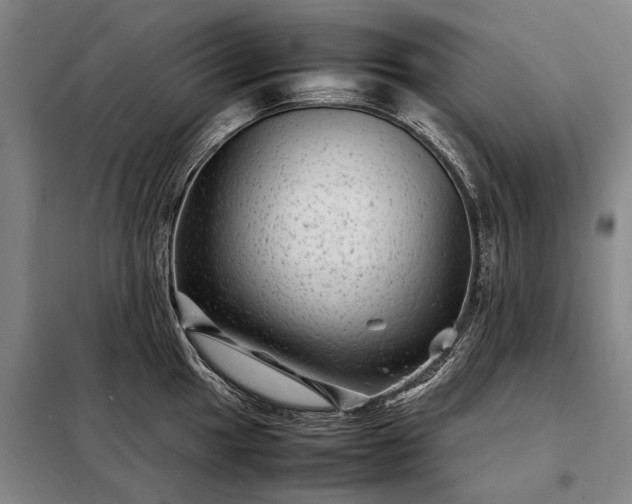 X0000098221049200805011229