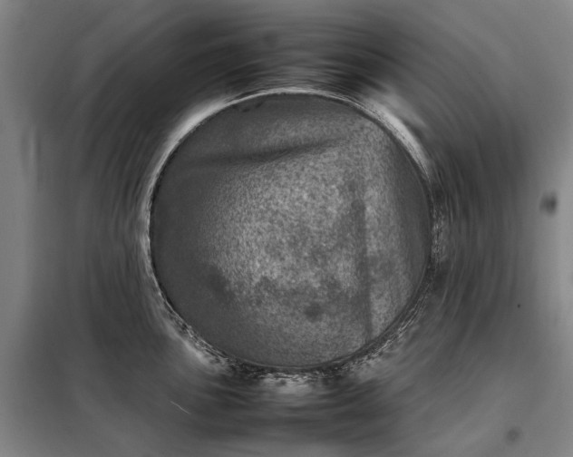 X0000098221051200805011230