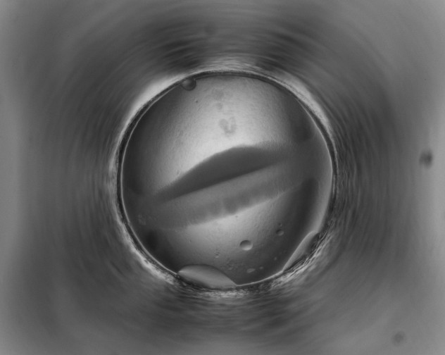 X0000098221053200805011230