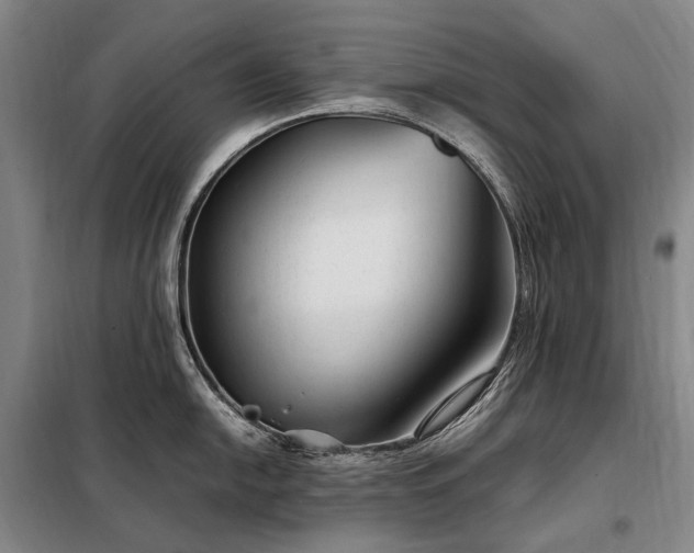 X0000098221054200805011230