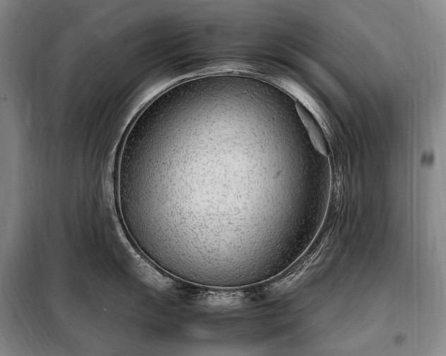 X0000098221055200805011230