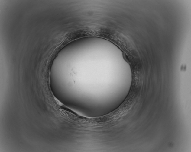 X0000098221057200805011229