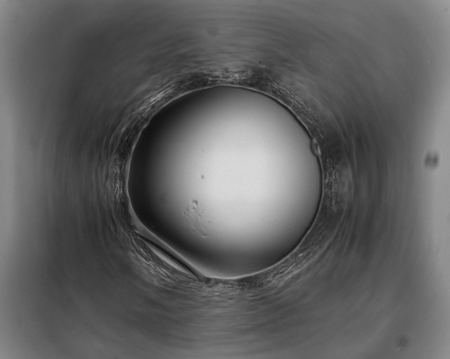 X0000098221058200805011229