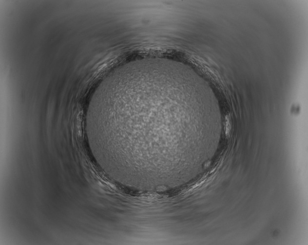 X0000098221059200805011229