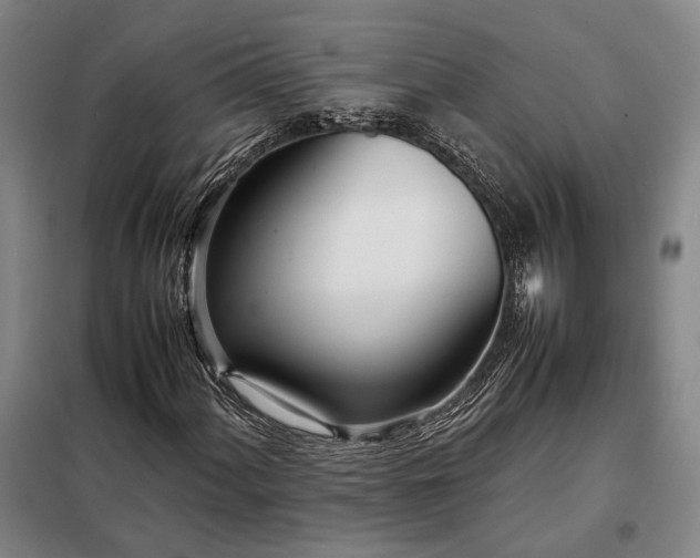 X0000098221060200805011229