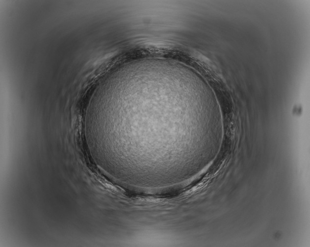 X0000098221061200805011229